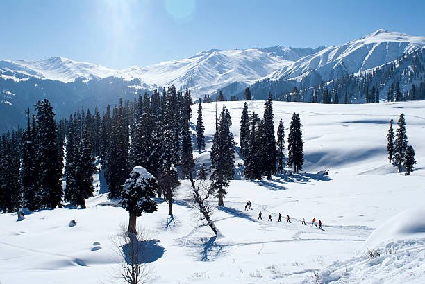 Kashmir Winter Trip